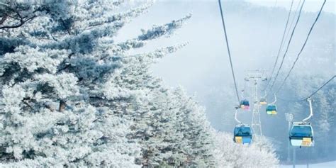 Best Things to Do in Winter in Korea : Snow and Christmas - IVisitKorea