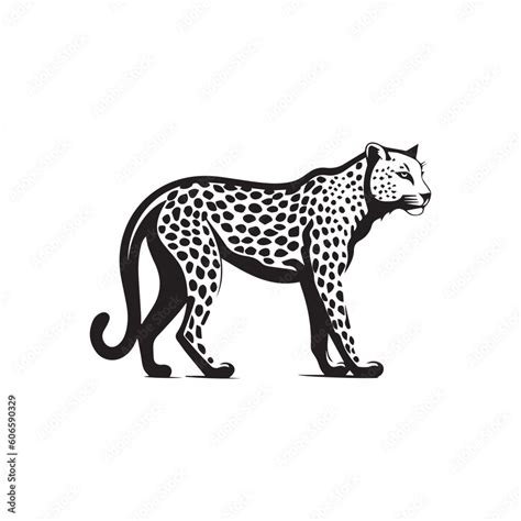 cheetah vector logo - black and white . Abstract drawing Vector ...