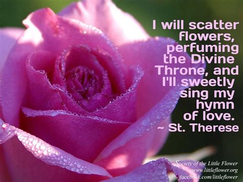 St. Therese Daily Reflections Archives | Wisdom thoughts, Prayers, Novena