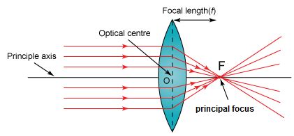 Define main focus of a convex lens. toppr.com