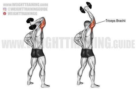 Standing one-arm overhead dumbbell triceps extension exercise