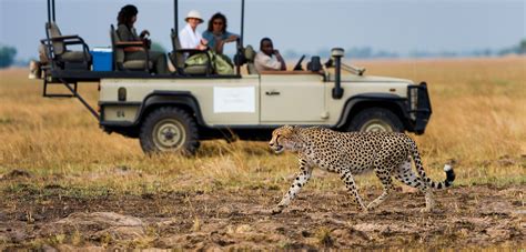 Victoria Falls, Botswana & Zambia Safari - Discovering Africa