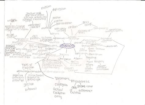 Evolution Concept Map