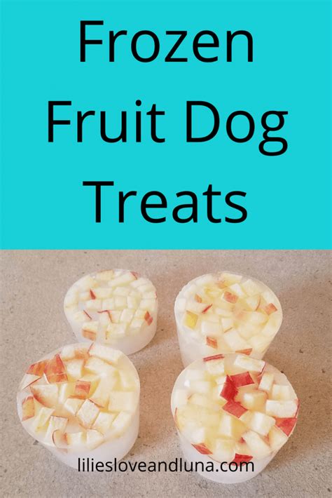 Frozen Fruit Treats for Dogs - Lilies, Love, and Luna