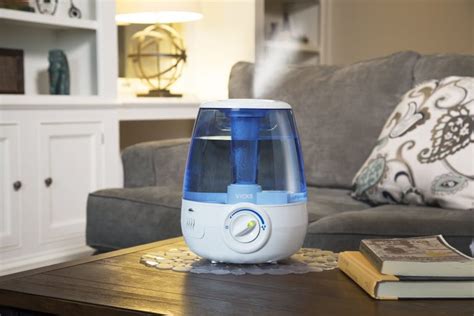 5 Best Vicks Humidifiers Reviewed in Detail (Winter 2024)