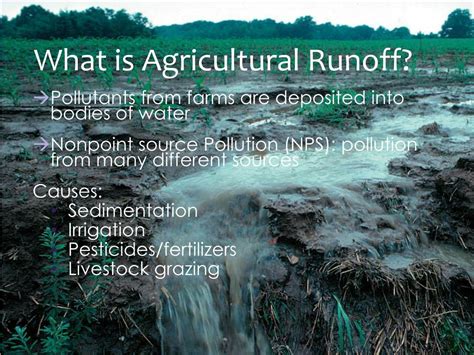 PPT - Agricultural Runoff PowerPoint Presentation, free download - ID:2531899