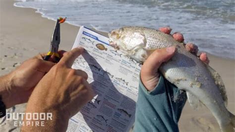 Surf Fish Types by Region & the Best Bait to Catch Them