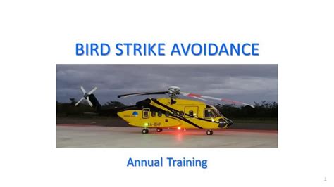 Bird Strike Avoidance – Heliserviciotraining