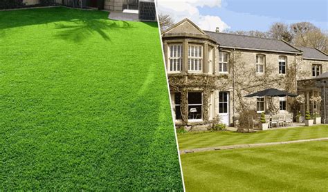 Grass Carpets vs. Traditional Lawns: Get Expert Guides 2024