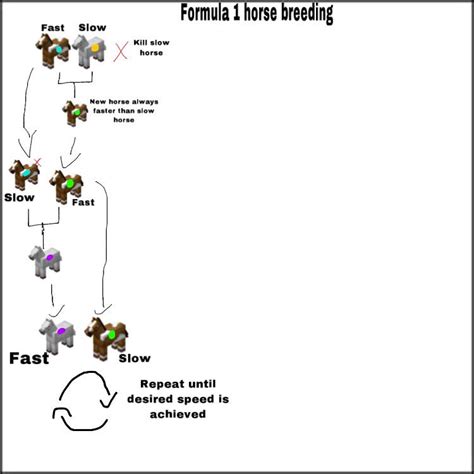 Minecraft Horse Breeding Chart