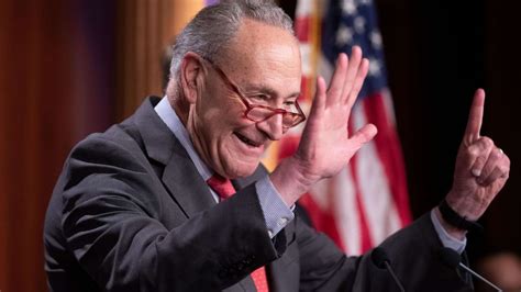 'Exuberant' Chuck Schumer on what a 51-seat majority means for ...