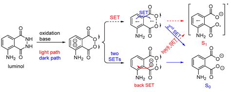 Molecules | Free Full-Text | Direct and Indirect Chemiluminescence: Reactions, Mechanisms and ...