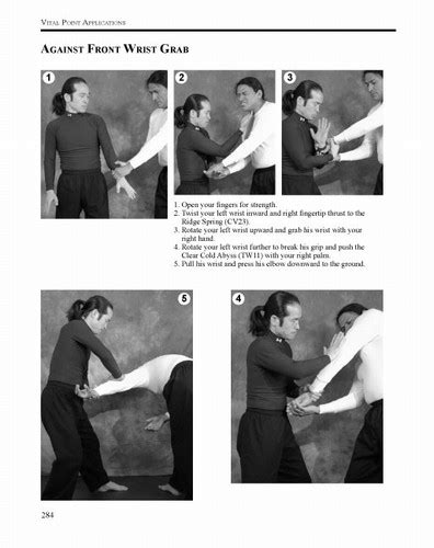 Vital Point Strikes: The Art and Science of Striking Vital Targets for Self-defense and Combat ...