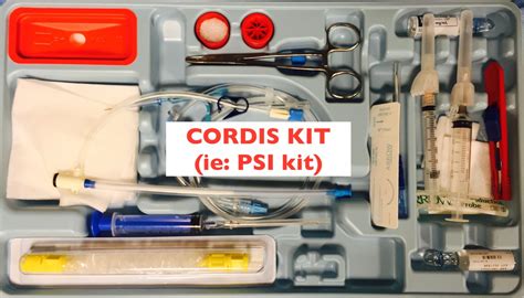 Cordis Placement POD — Maimonides Emergency Medicine Residency