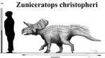 Turanoceratops tardabilis by Teratophoneus on DeviantArt