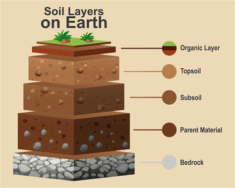 Simple Soil Profile Diagram 3456 | The Best Porn Website