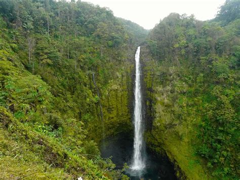 Tips for Visiting Akaka Falls State Park near Hilo, Hawaii