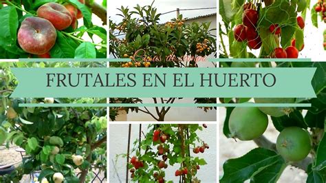 Frutales en el huerto. - YouTube