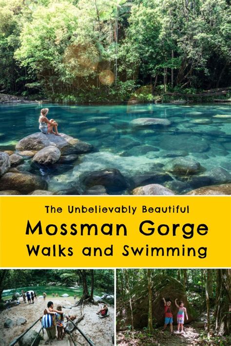 Mossman Gorge swimming and walks - They're insanely beautiful!