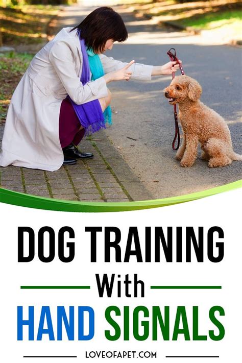 Dog Training With Hand Signals: What You Need to Know? - Love Of A Pet | Dog training, Dog ...