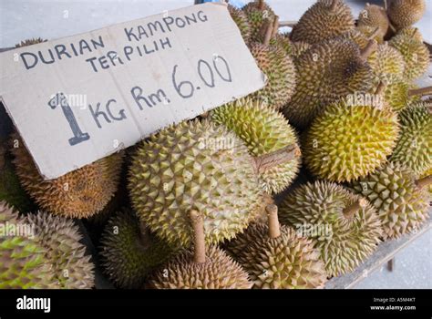 Durian on sale in market in the Cameron Highlands of Malaysia Stock Photo - Alamy