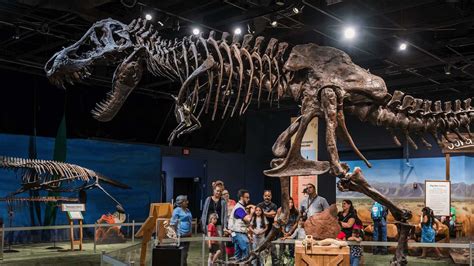 فسیل دایناسور 31.8 میلیون دلاری به موزه تاریخ طبیعی ابوظبی می‌رود | دیجیاتو