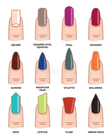 Nail shapes stock illustration. Illustration of shiny - 30936398