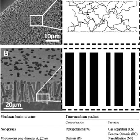 Example of (A) non-porous membrane and (B) porous membrane (images and... | Download Scientific ...