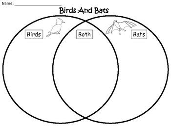 A+ Bats And Birds Comparison by Regina Davis | Teachers Pay Teachers