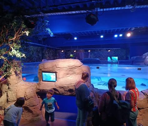 Themeparkzoo - SEA LIFE Oberhausen , aquarium en Allemagne