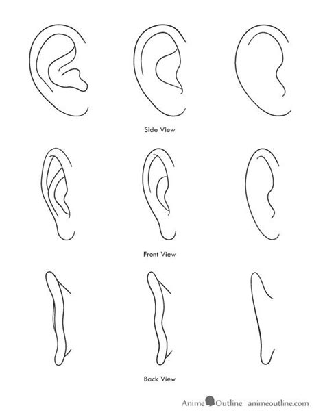 How To Draw Ears Anime Learn how to draw anime cat ears pictures using ...