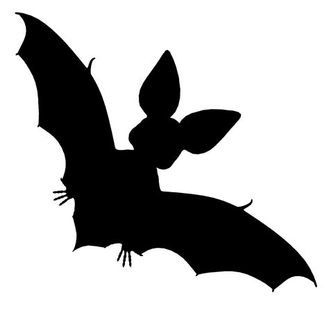 Black Bat Free Stock Photo - Public Domain Pictures