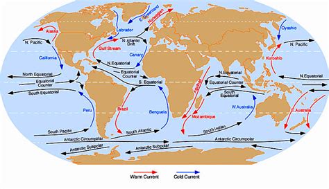 Sea Water Temperatures: Swimming & Snorkelling Guide