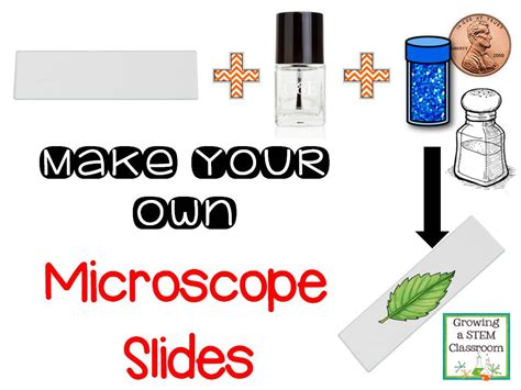 Growing a STEM Classroom: Make Your Own Microscope Slides