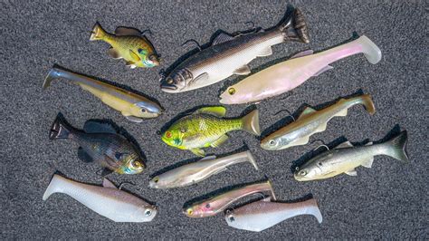 BUYER'S GUIDE: Best Soft Swimbaits | Boot Tail, Wedge Tail, Line Thru ...