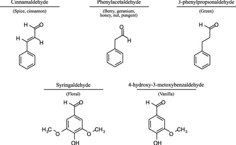 Aldehyde Examples And Uses