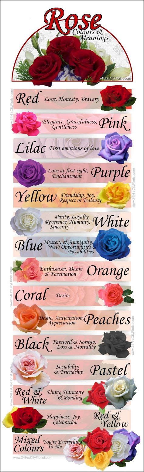 Writing Right image by AvaarGoddess | Rose color meanings, Color meanings, Rose color