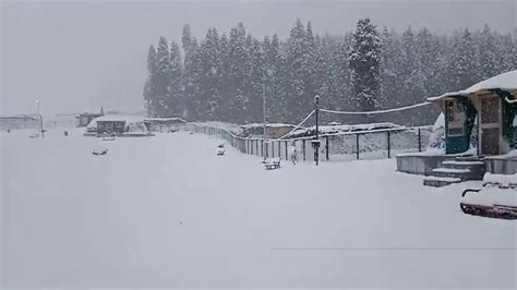 Jammu and Kashmir: Gulmarg receives season's first snowfall, turns into winter wonderland ...