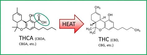 How to Decarboxylate Cannabis to Use in Oils, Edibles & Salves ...