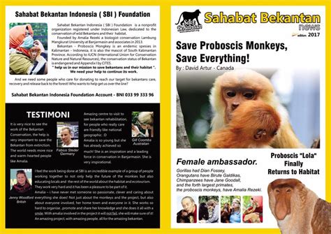 PROBOSCIS MONKEY CONSERVATION ~ Sahabat Bekantan Indonesia