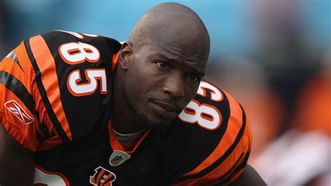 Chad Ochocinco: Will Cincinnati Bengals new coaches welcome me?