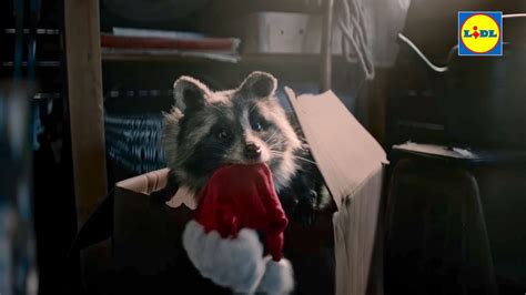 Lidl Christmas Advert 2023 Features Helpful Raccoon