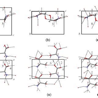 A fragment of the crystal structure of chlorpropamide A. Green – Cl,... | Download Scientific ...