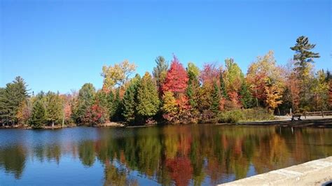 Lake Abanakee in Indian Lake. New York | Indian lake, Lake, Adirondacks