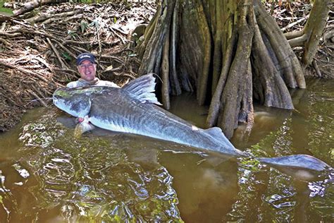 Top 5 Giant Catfish That Don't Quit - In-Fisherman