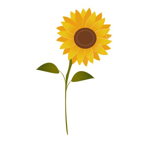 Vector Clip Art Of Single Sunflower, Sunflowers, Flower, Plant PNG and Vector with Transparent ...