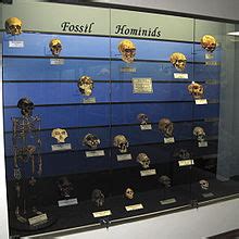 Paleoanthropology - Simple English Wikipedia, the free encyclopedia