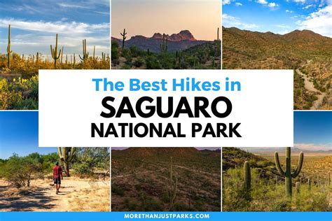 10 INCREDIBLE Saguaro National Park Hikes (Photos+Video)