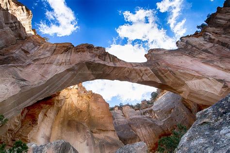 El Malpais National Monument – NM