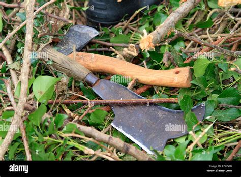 Axe and billhook, tools used in hedge laying Stock Photo - Alamy